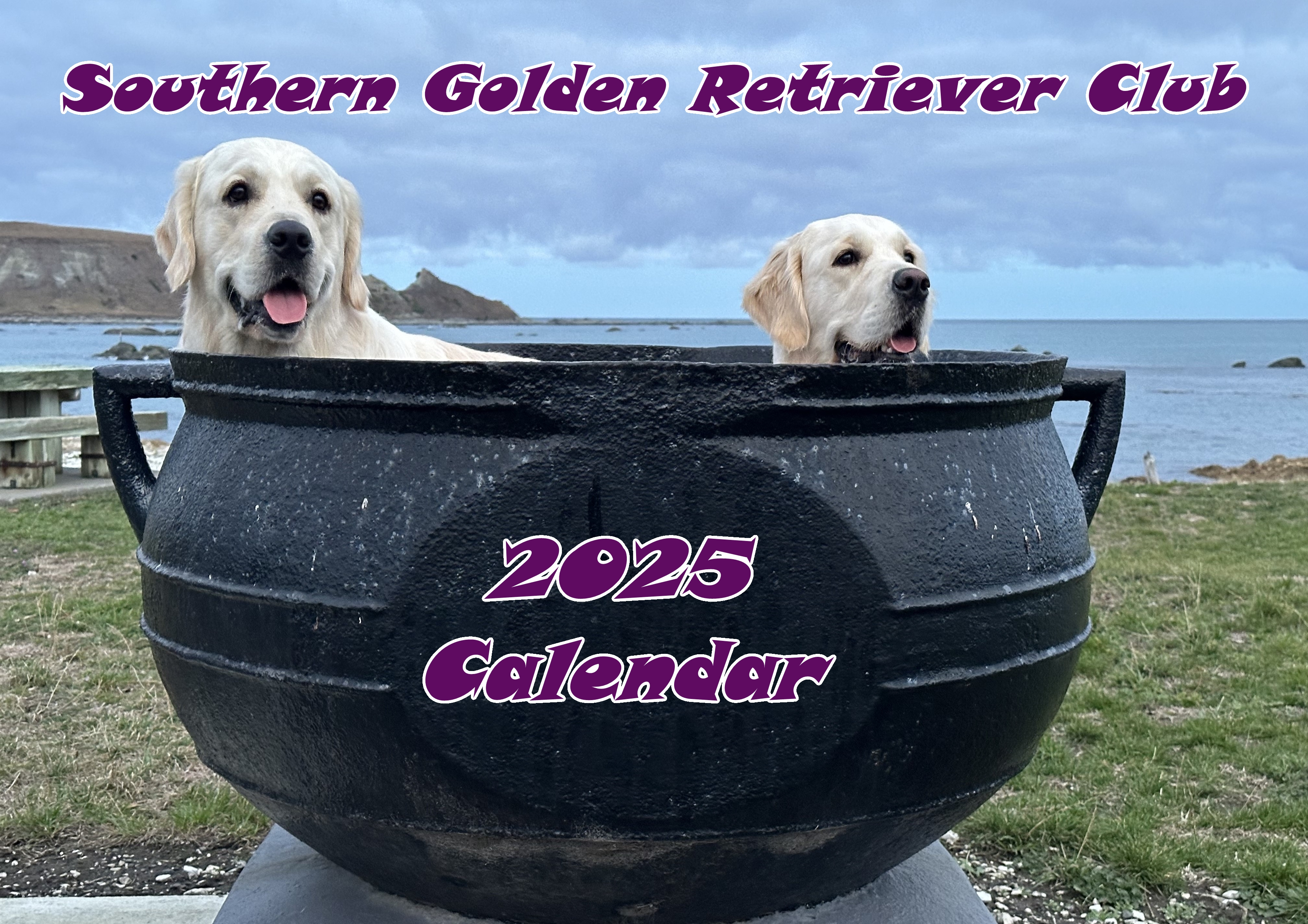 Southern Golden Retriever Club Calendar 2025