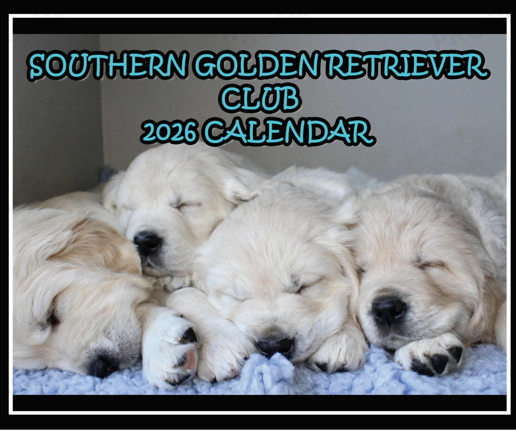 Southern Golden Retriever Club Calendar 2026