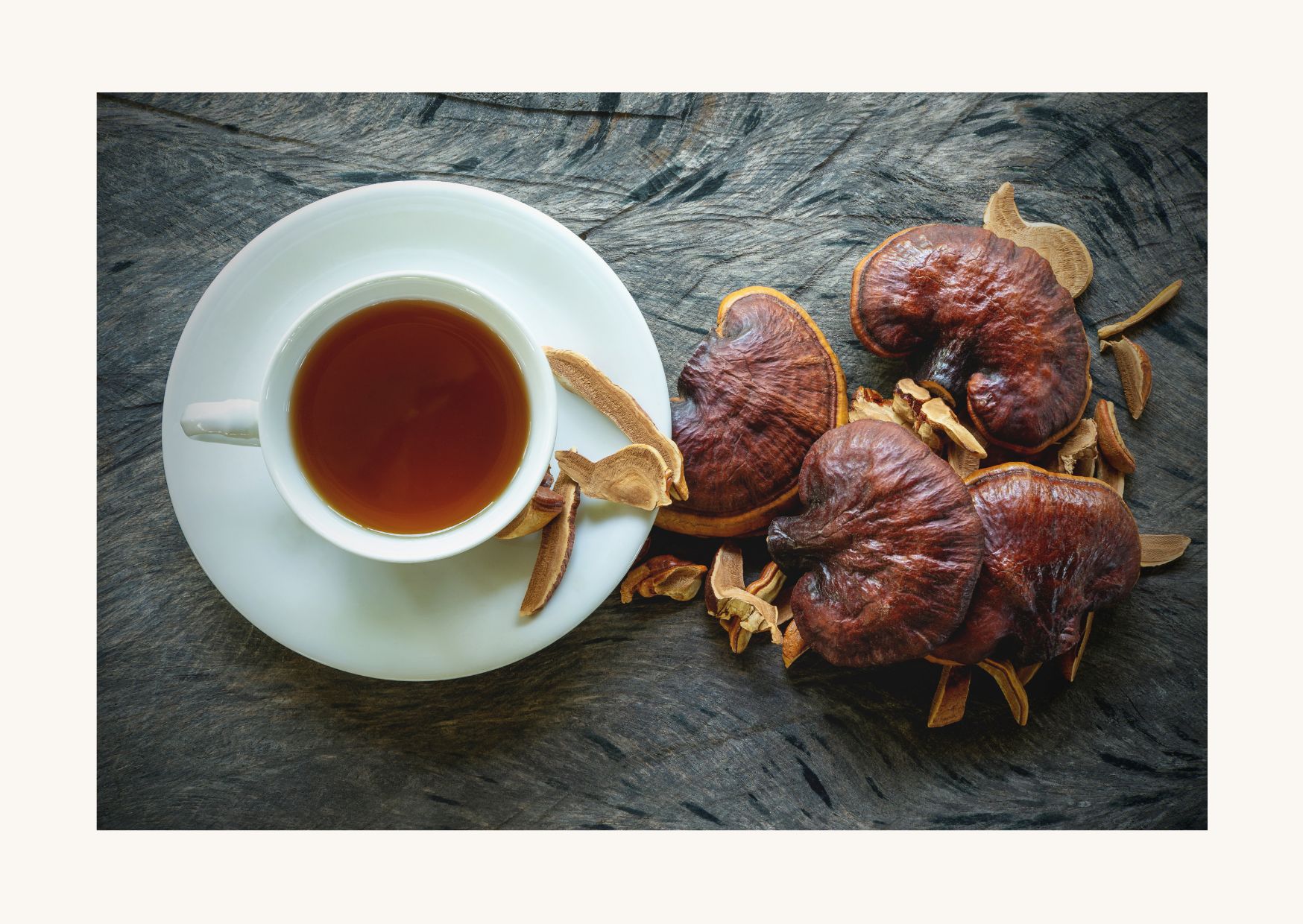 Bois de Reishi Séché