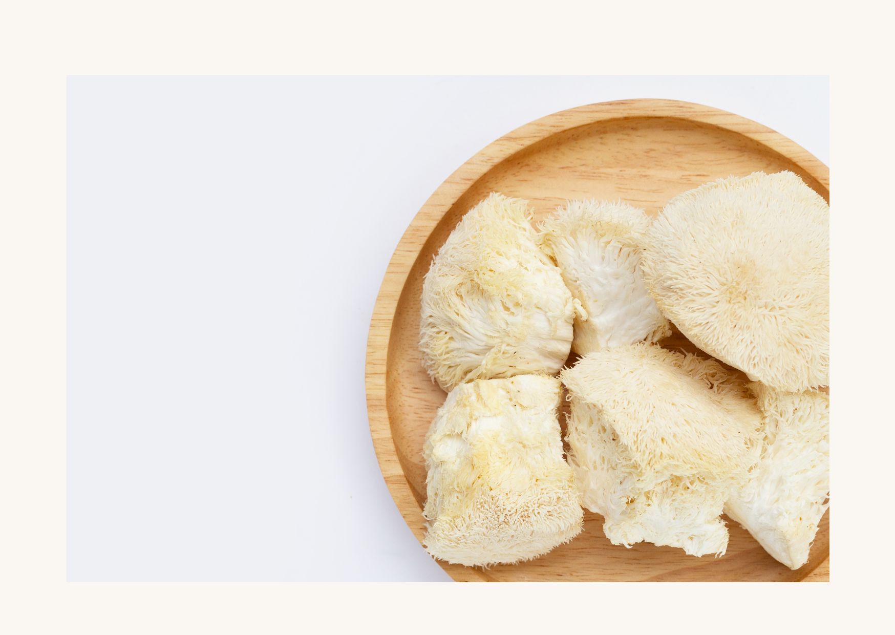 Crinière de Lion Fraîche - mini