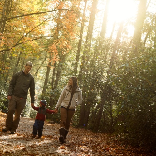 Atelier d'Anglais en famille - "Aventure en Fôret"