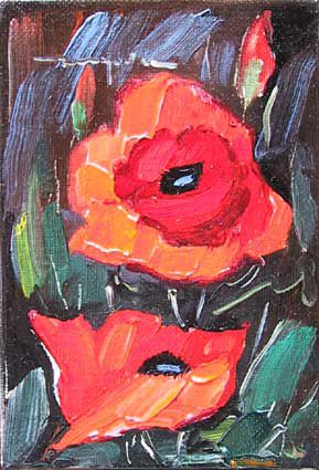 Colorful Poppy Flower