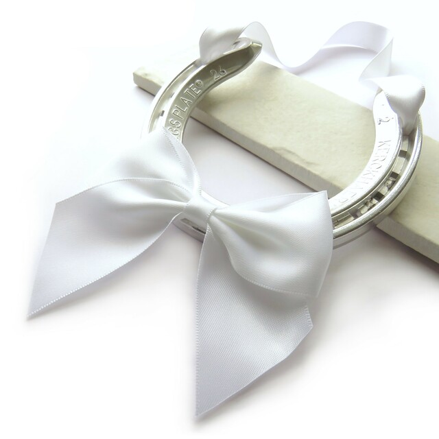 Real Wedding Horseshoe Good Luck Gift