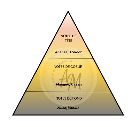 Bougie MANGUE & COCO