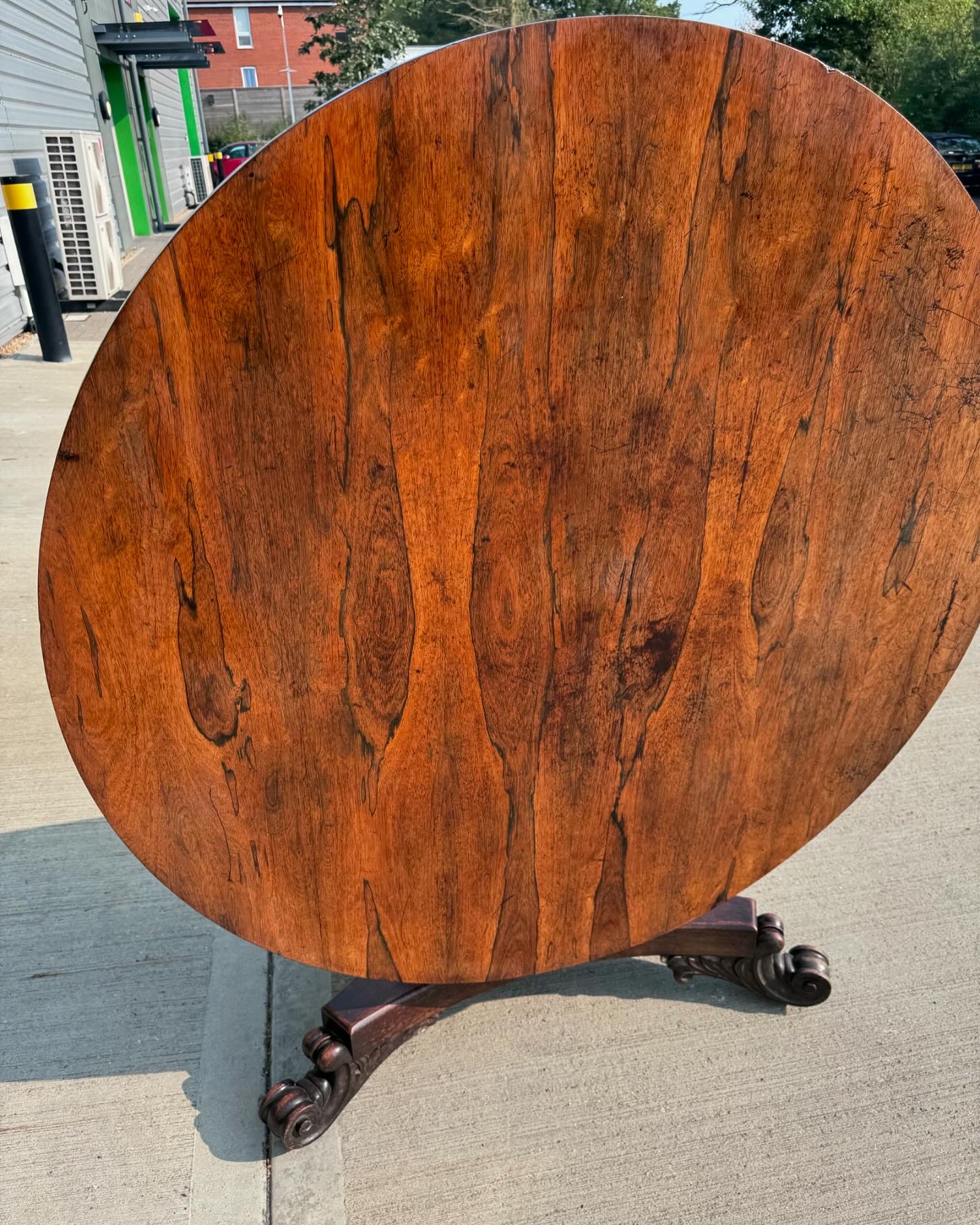 Antique William IV Rosewood Tilt Top Dining Table
