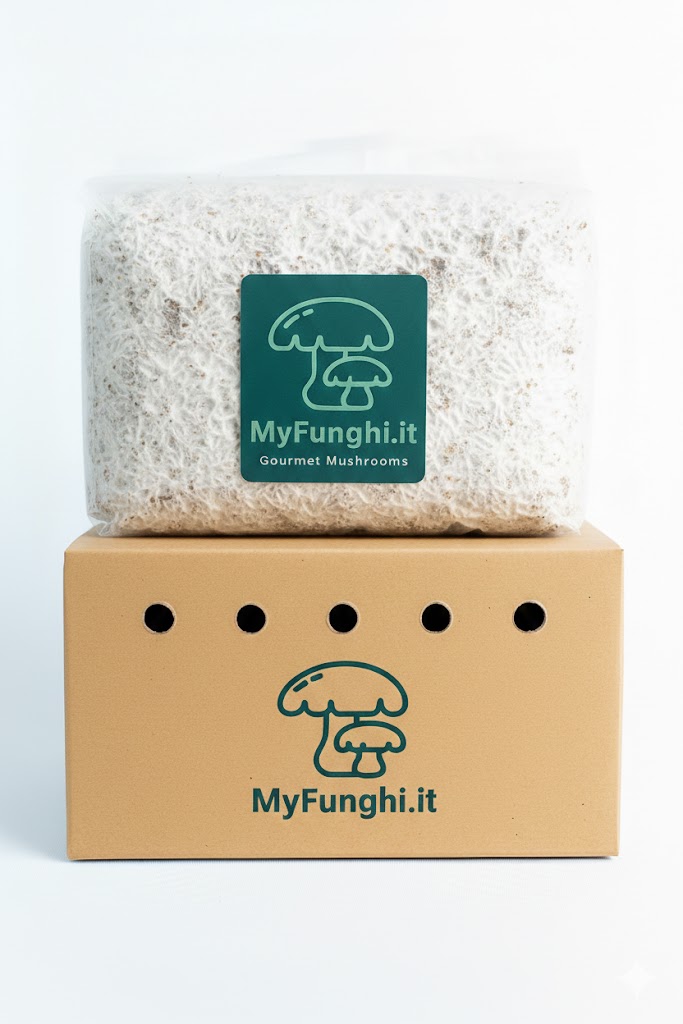Blocchi di substrato di funghi sterilizzati e inoculati