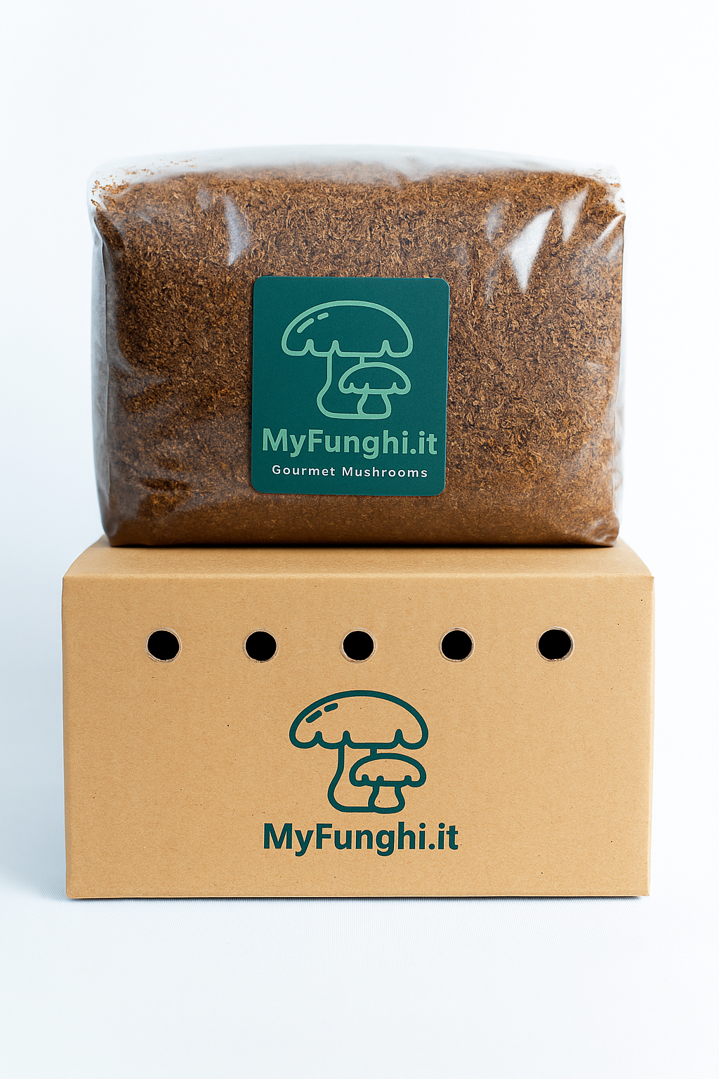 Blocchi di substrato di funghi sterilizzati e inoculati