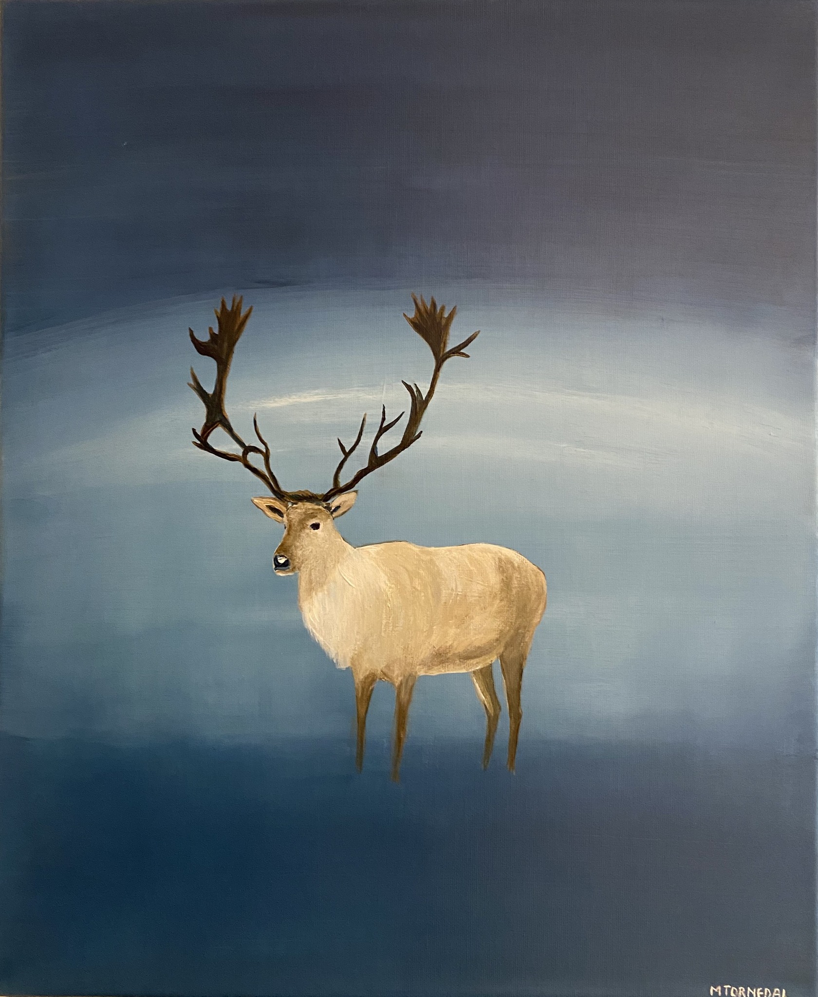 "Arctic Reindeer"
