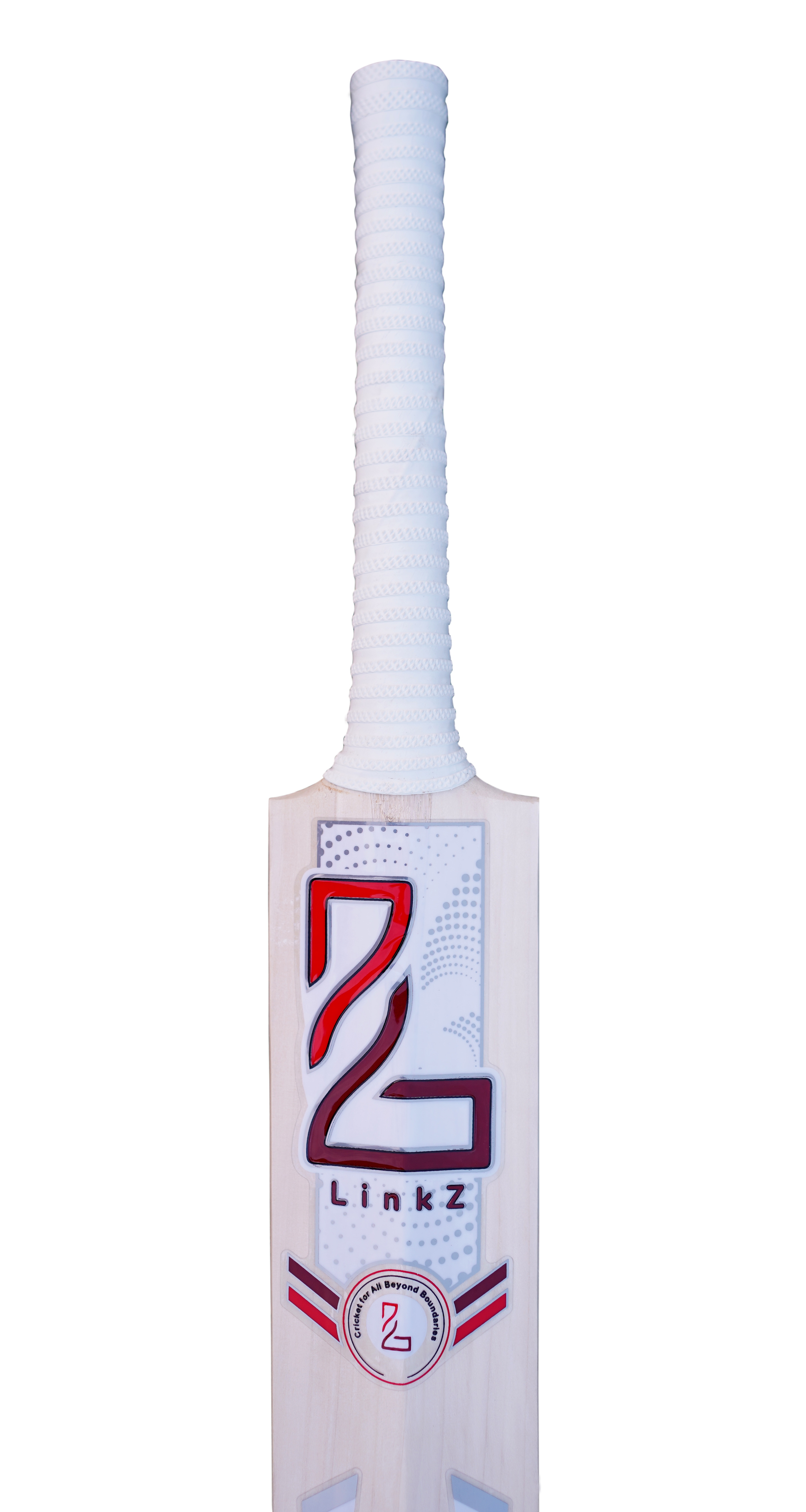 Adult bat (Kashmir Willow)