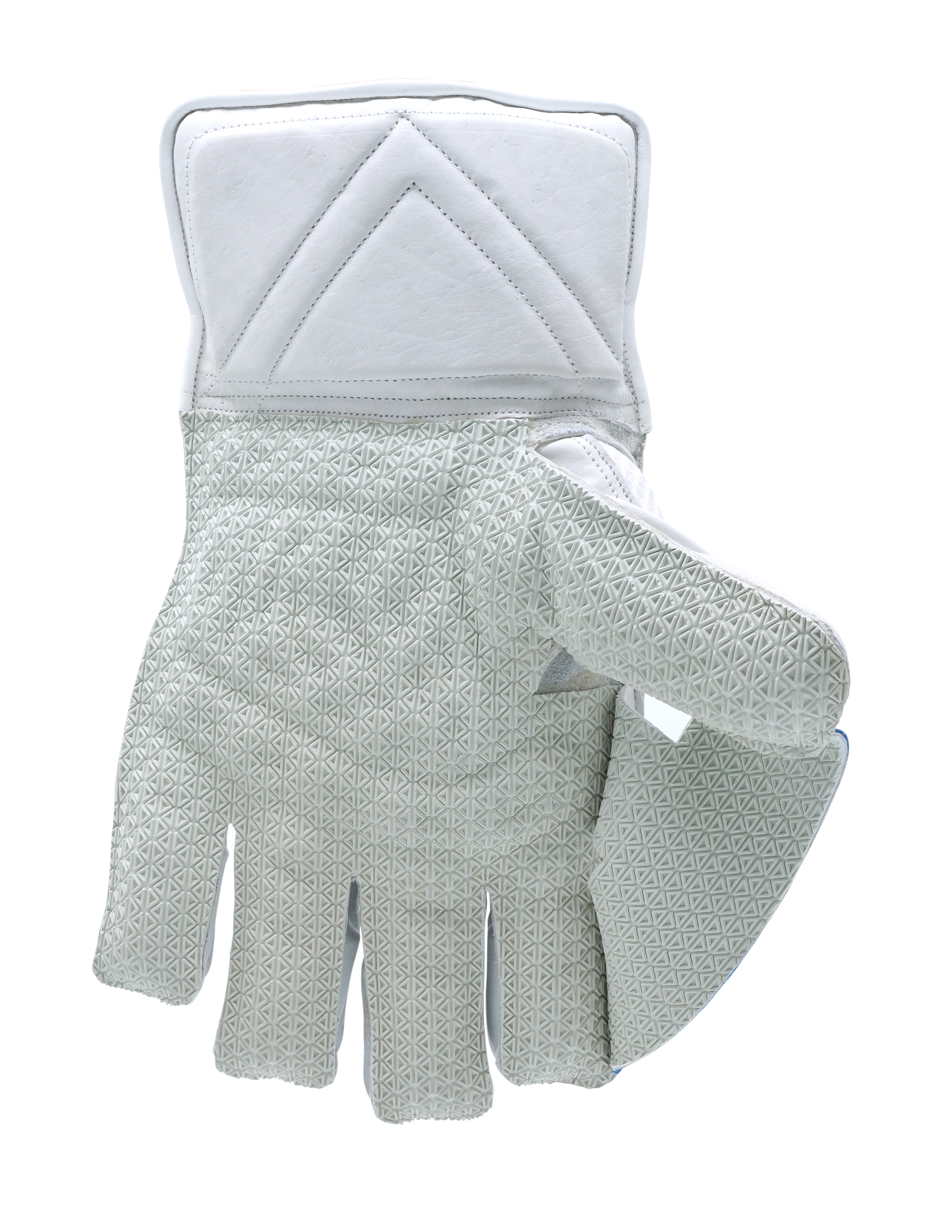 Wicket Keeping Gloves