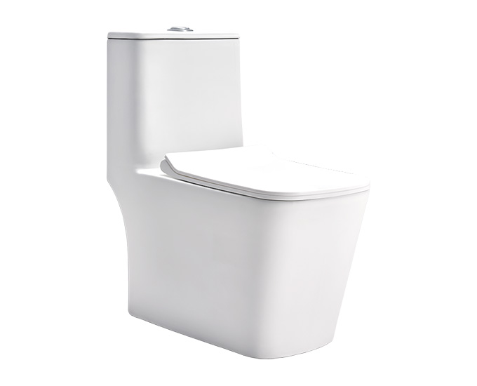Charm One Piece Rimless EWC with Vibe Sense Touch-less Toilet Seat