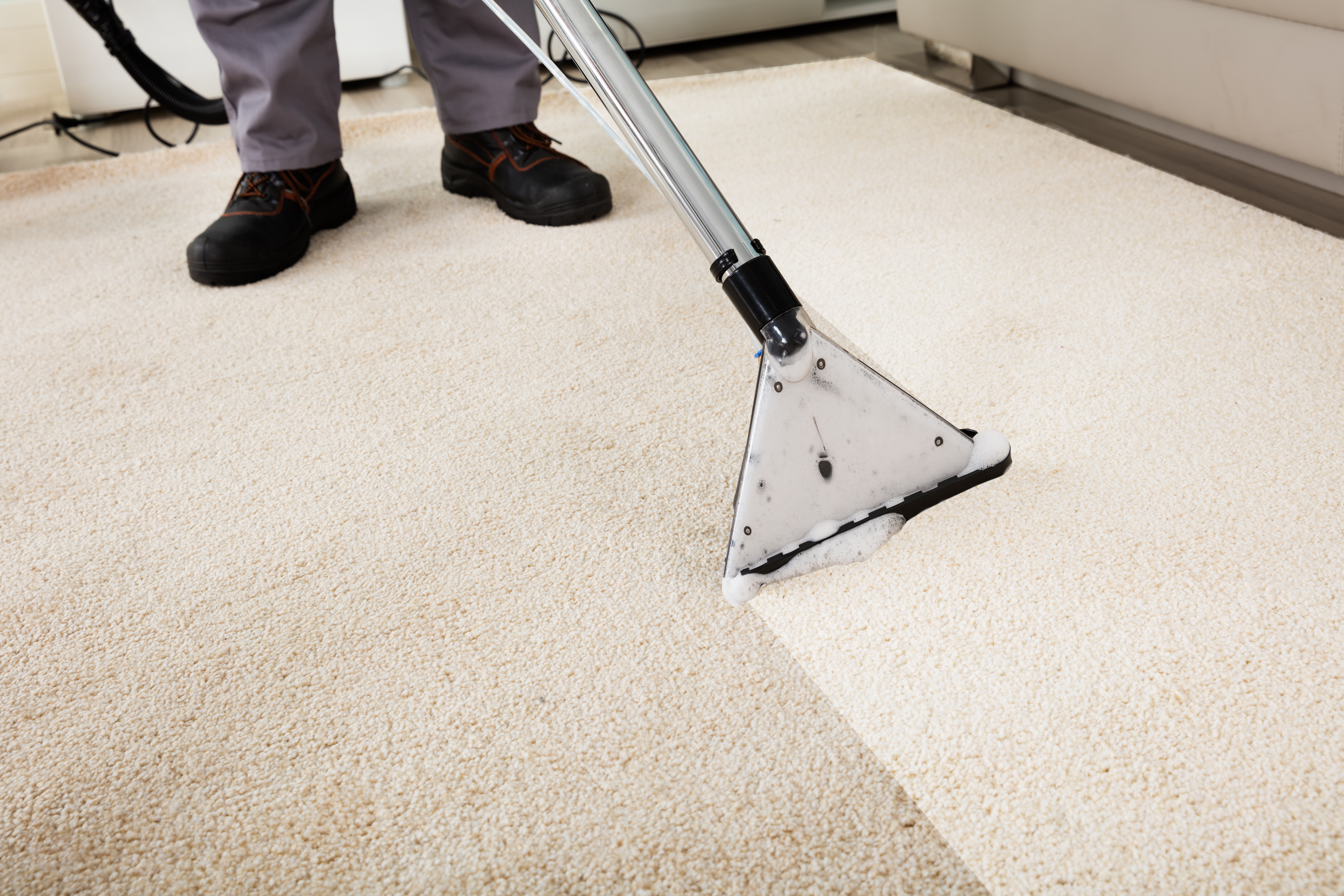 Carpet Cleaning - Office Area (21 - 40 Sq Metres)