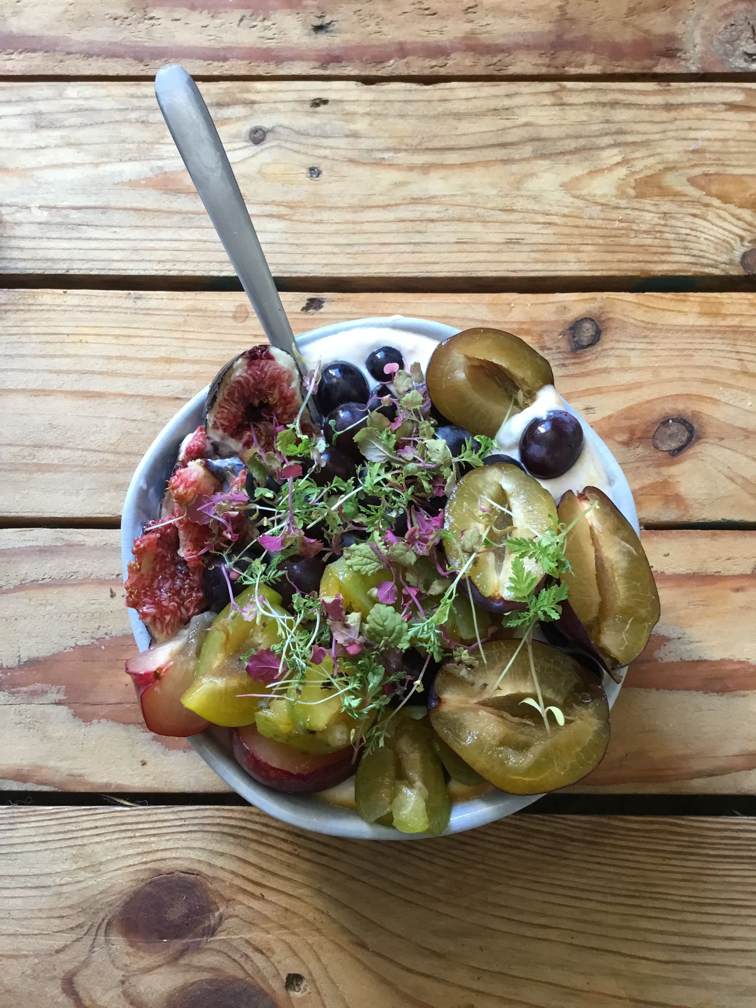 Micro pousse de Tagète