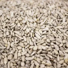 Sunflower hearts