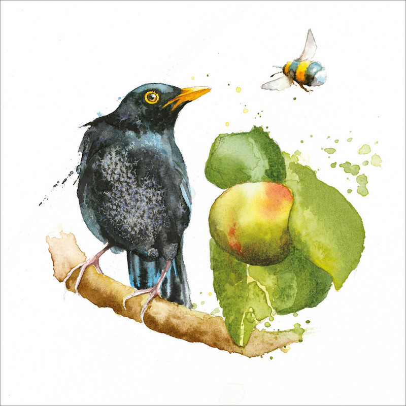 Blank Greetings Card, 11 different designs
