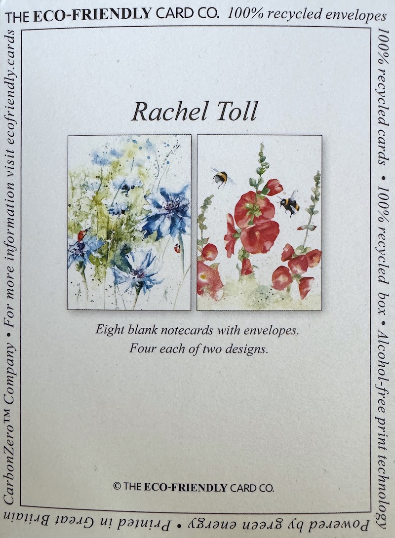 Mini Notelets - Rachel Toll