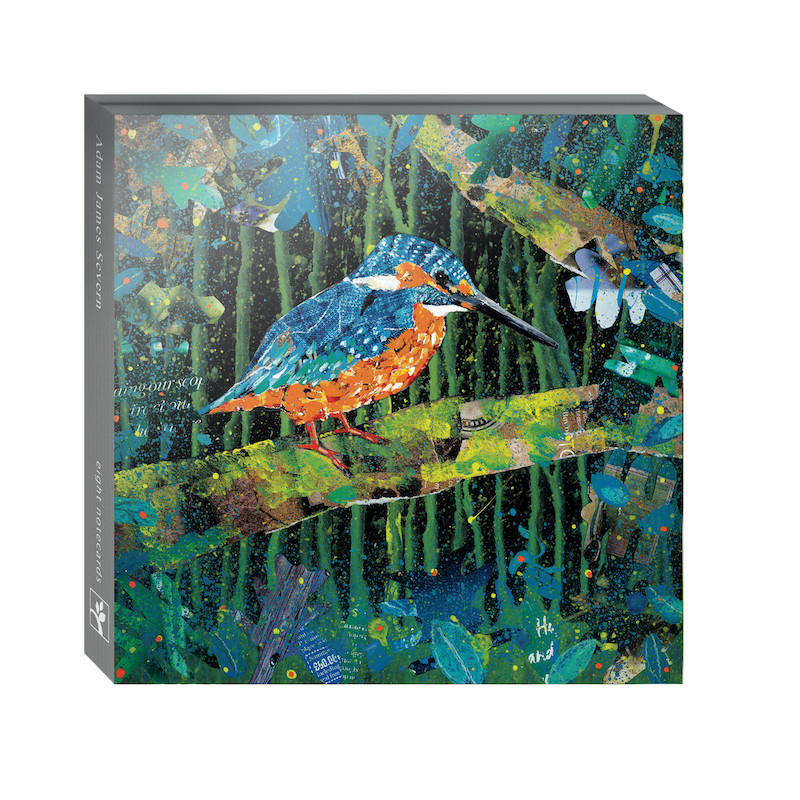  Set of 8 Notelets with 4 designs per pack, Four different packs to choose from
