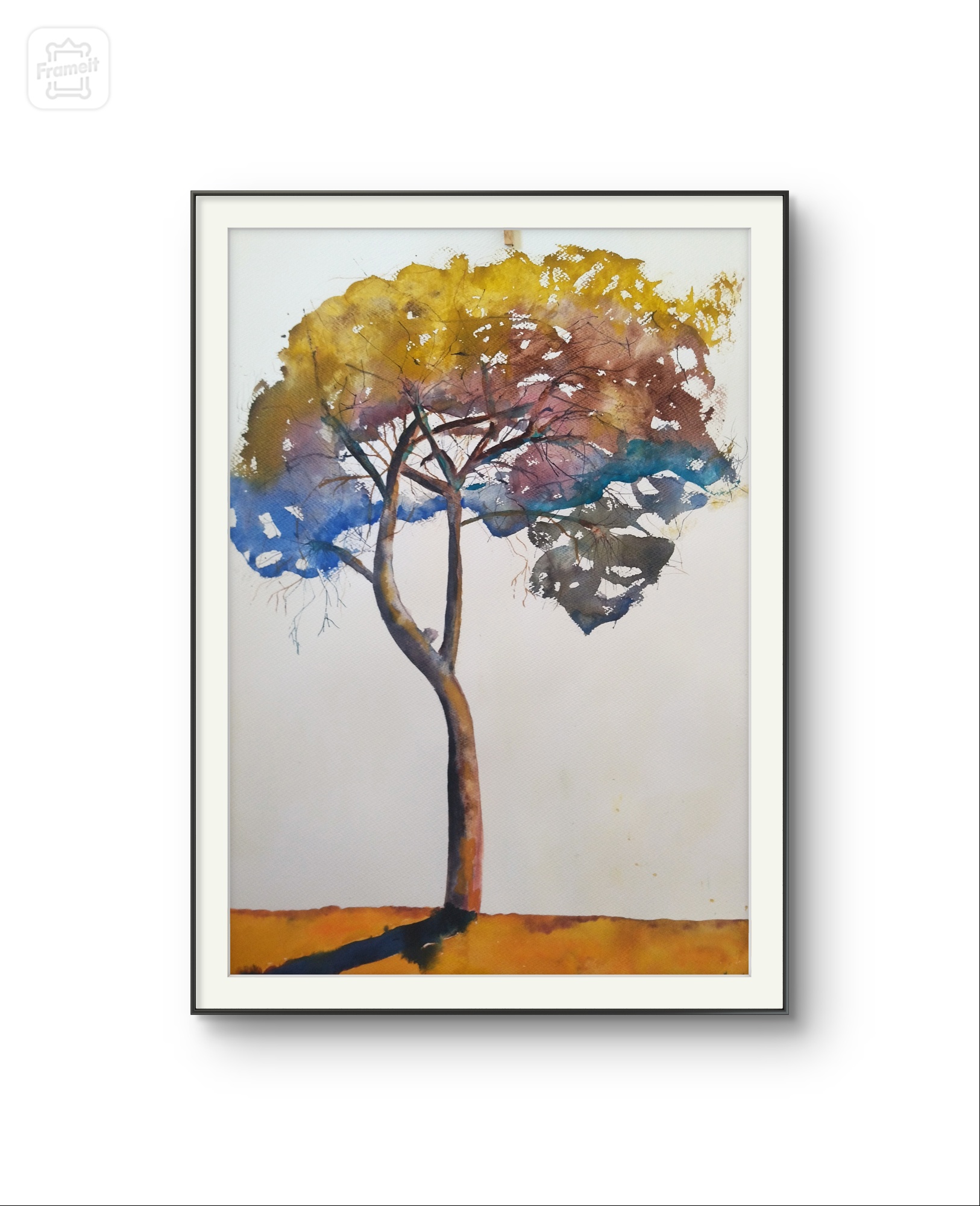Pino mediterrano