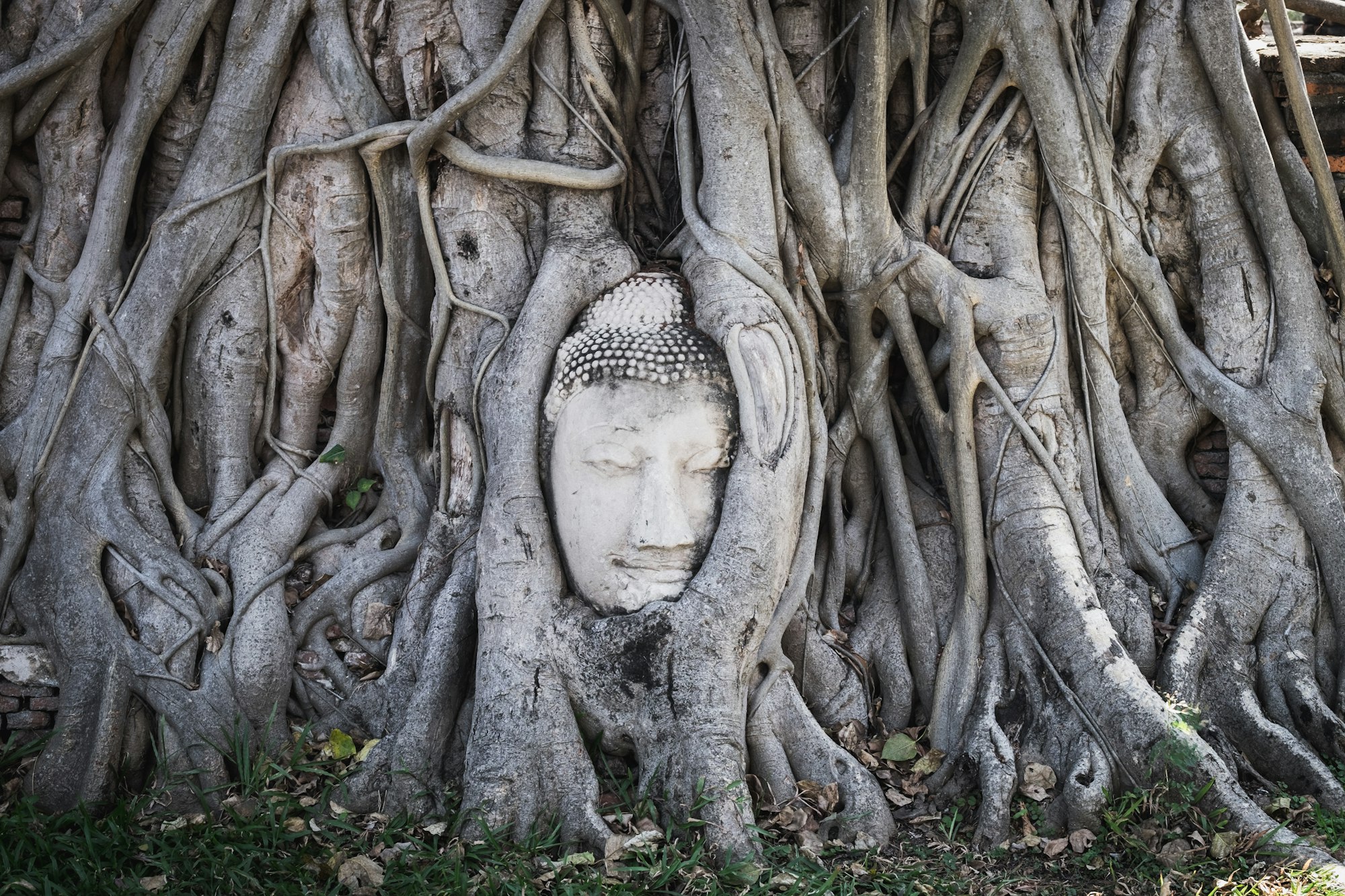 Ayutthaya