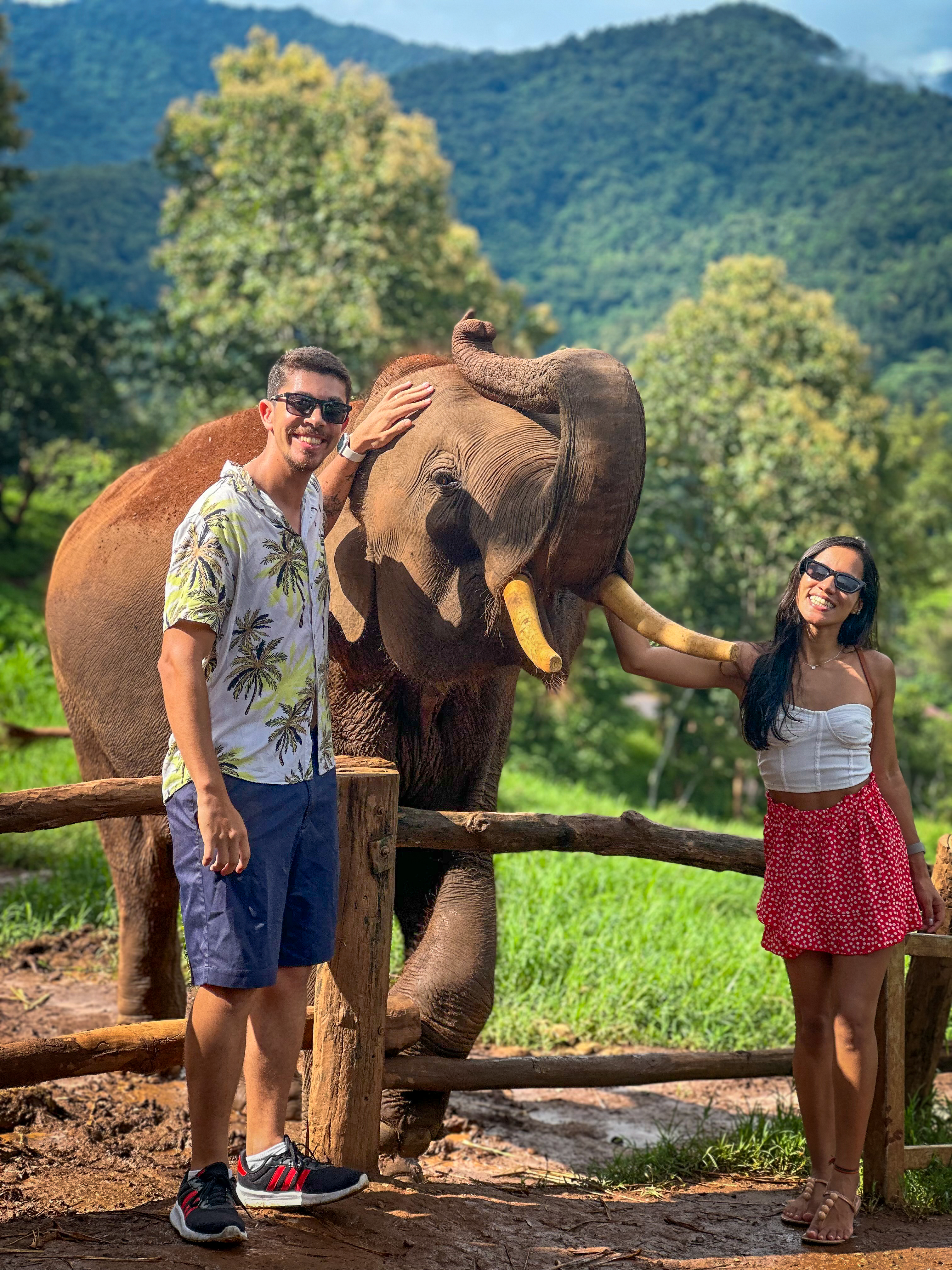 Santuário de elefantes Krabi