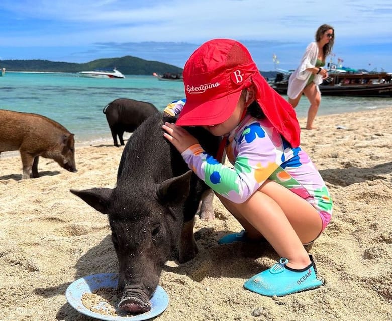 Ilha dos Corais e dos Porcos