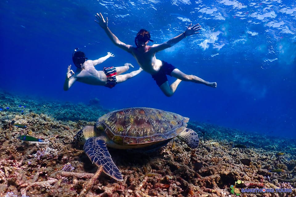 Passeio Day Tour para Koh Tao