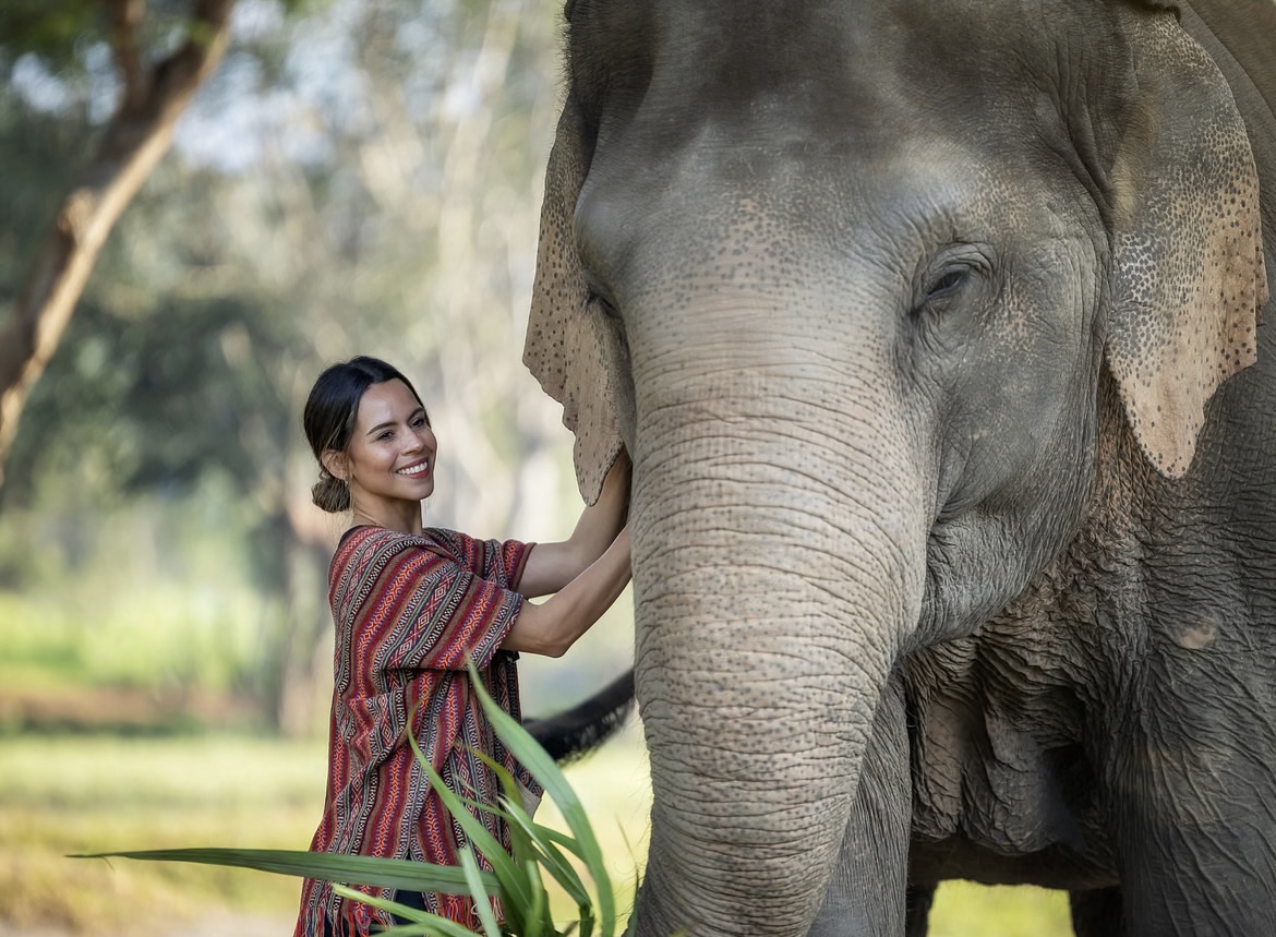 Santuário de elefantes Chiang Mai (Opção em português de Nov a Dez 2025)