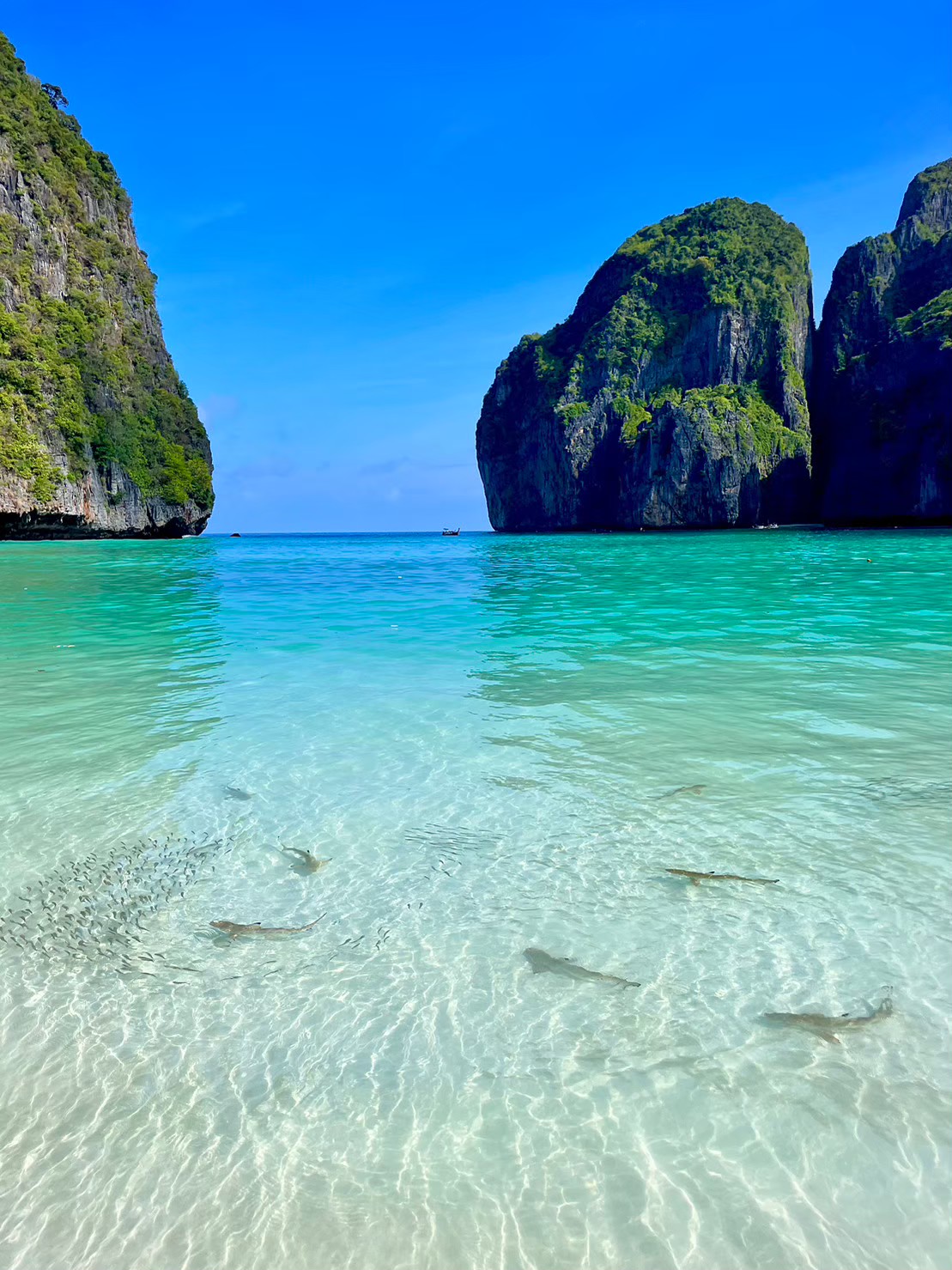 Phi phi island saindo de Krabi