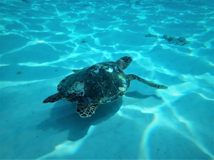 Similan islands