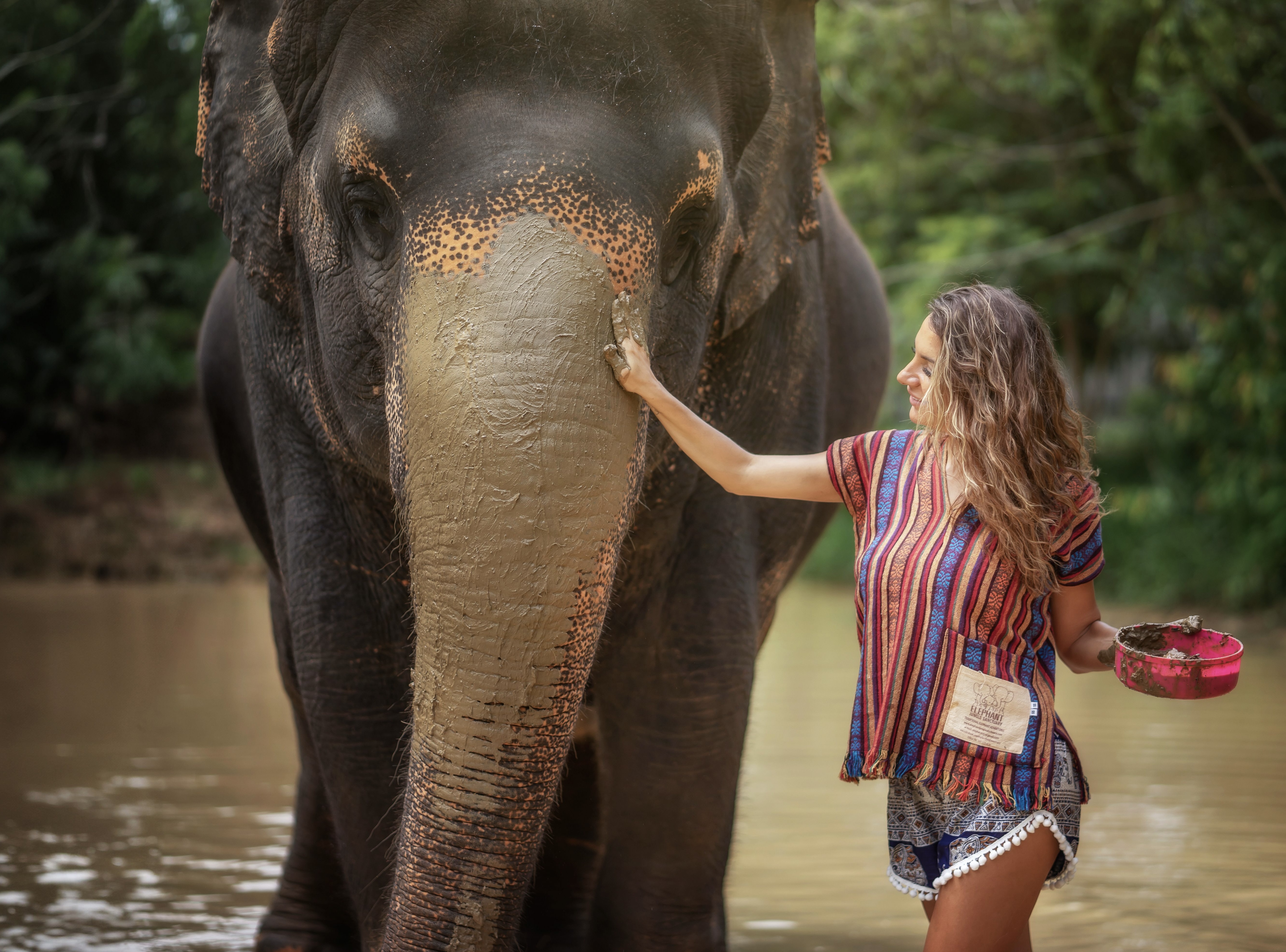 Santuário de elefantes Phuket