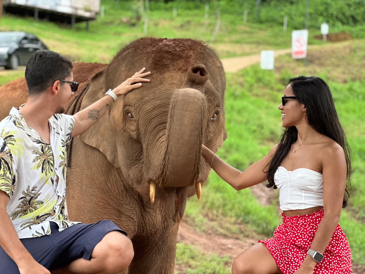 Passeio ao Santuário de elefantes Koh Samui