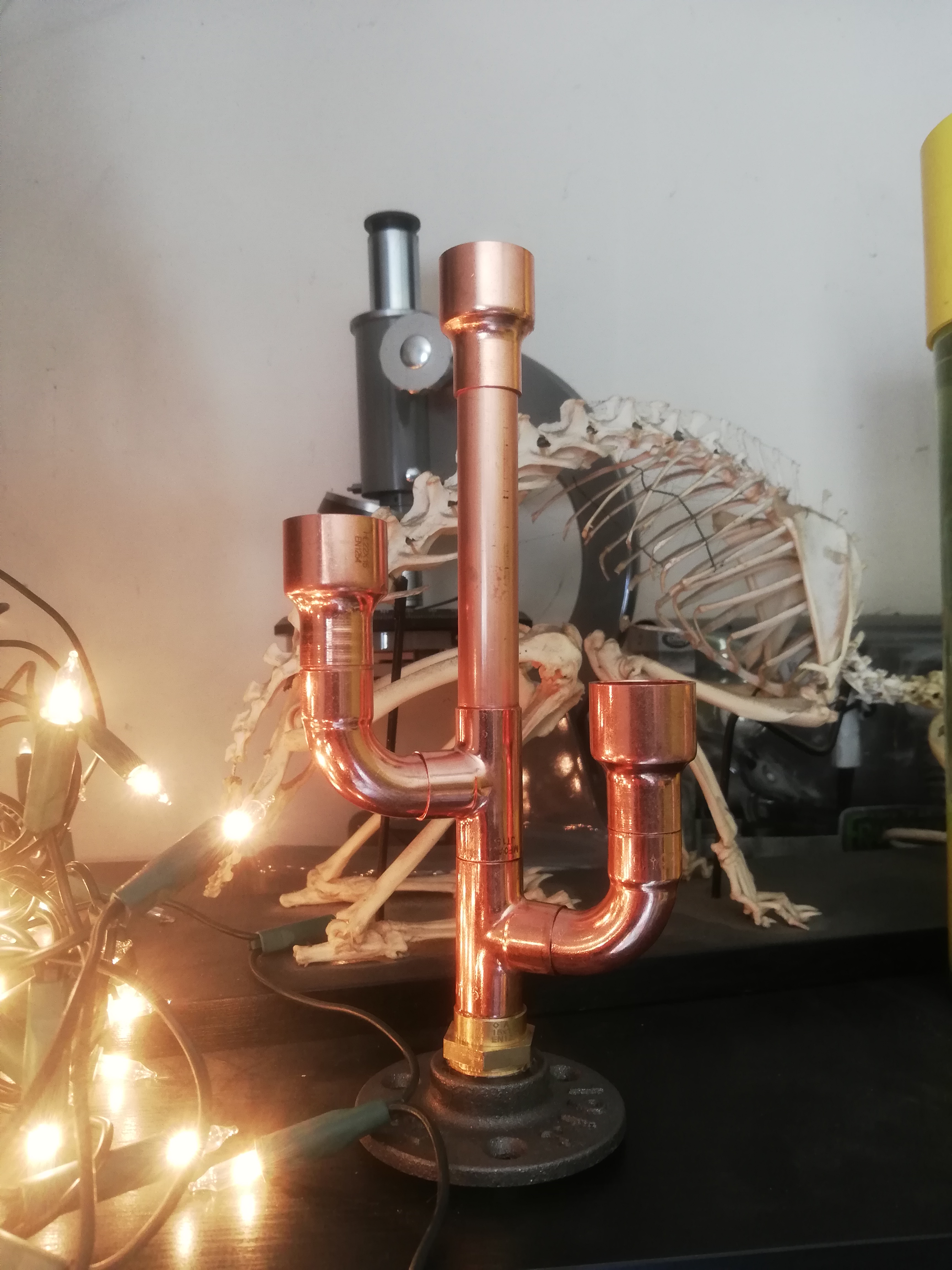 The Cactus - Triple Candlestick