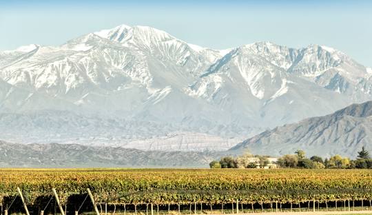 Chile + Mendoza + Betel
