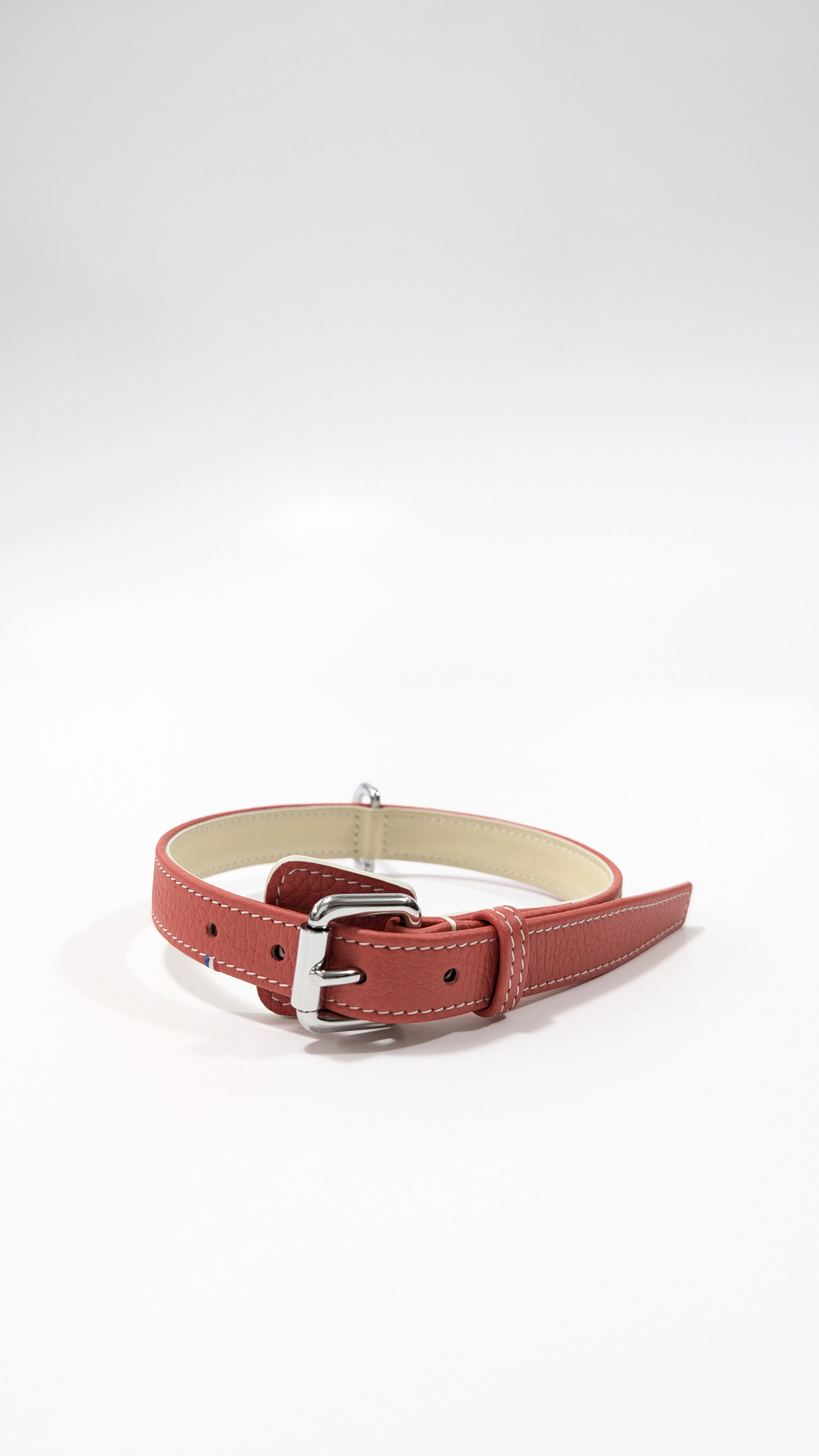 Collier de chien Canaille 20