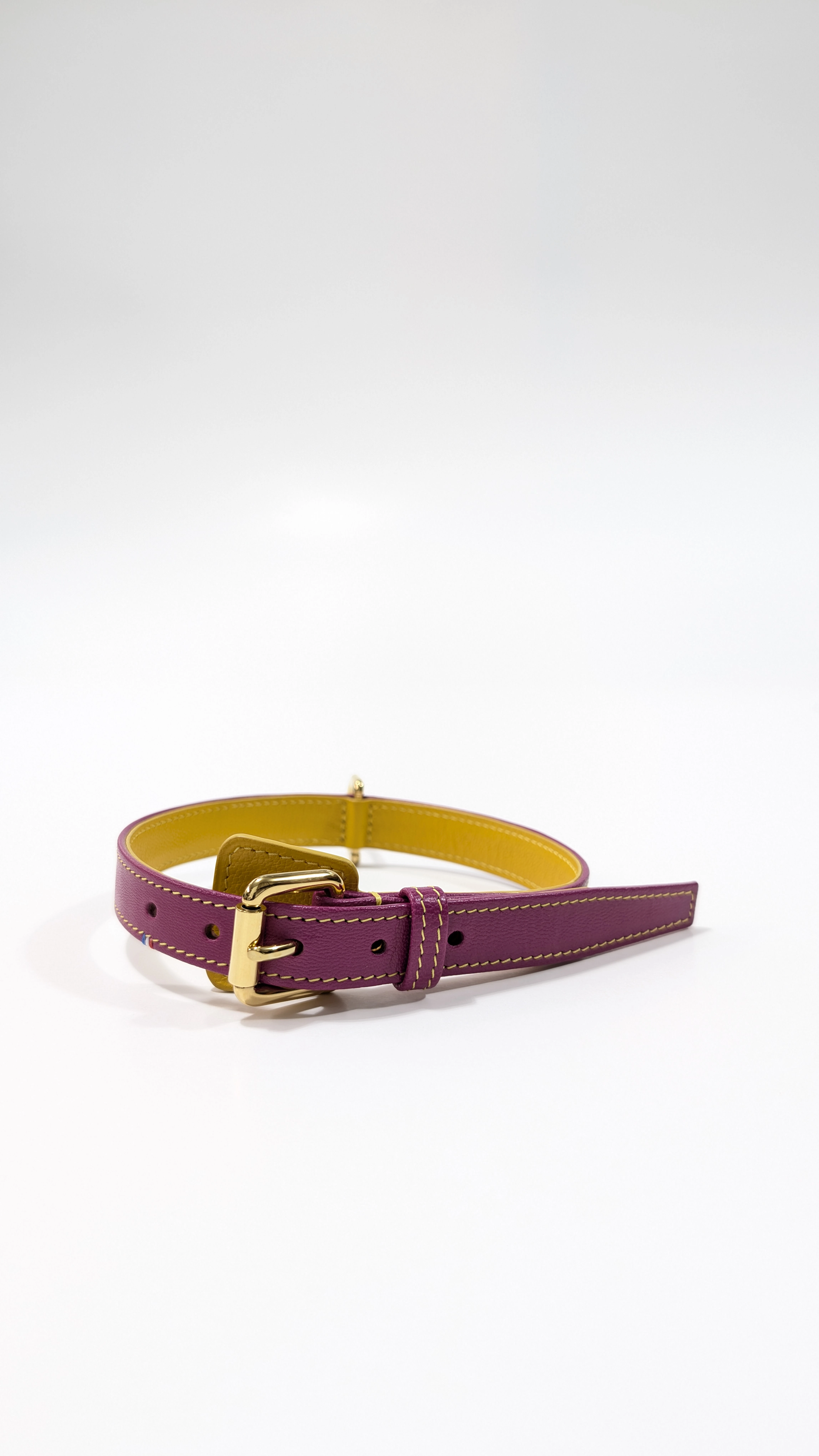 Collier de chien Canaille 20