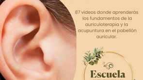 Curso de Auriculoterapia