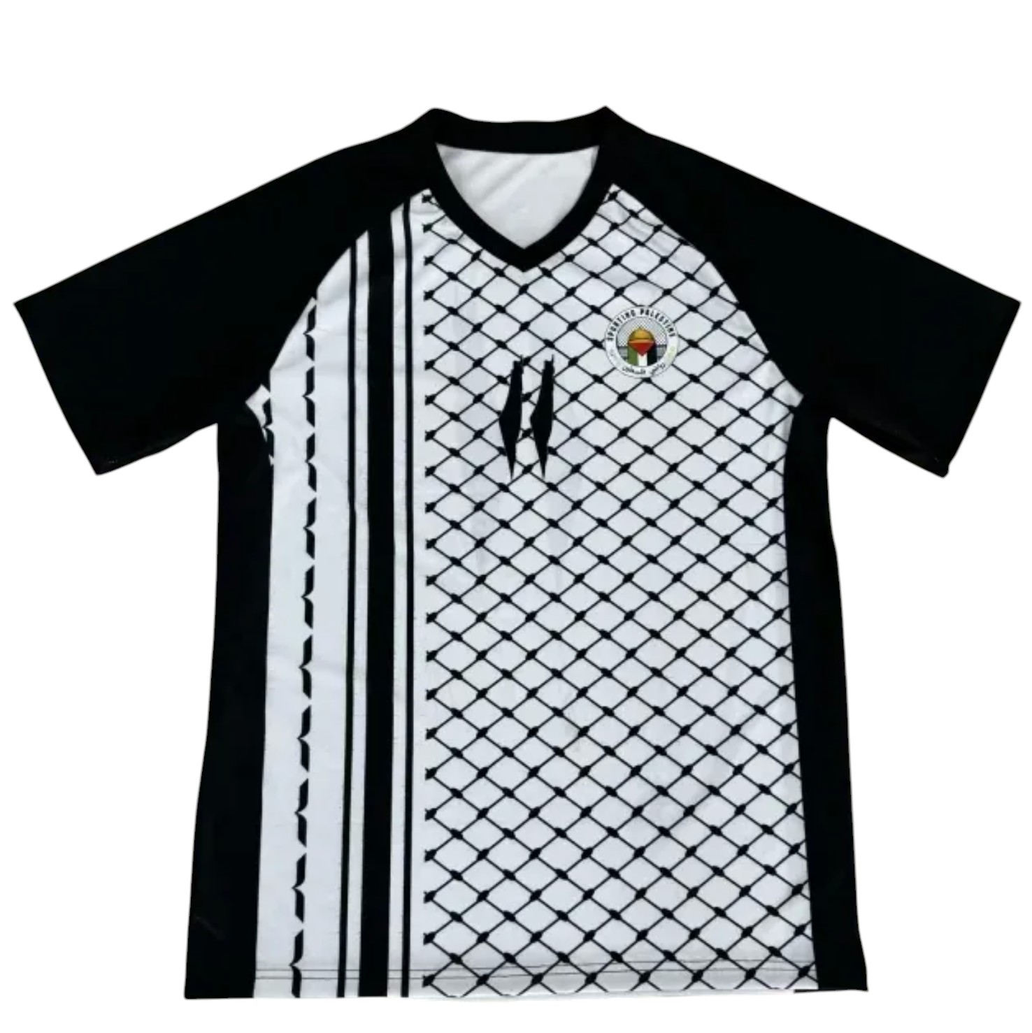 Palestine 2024