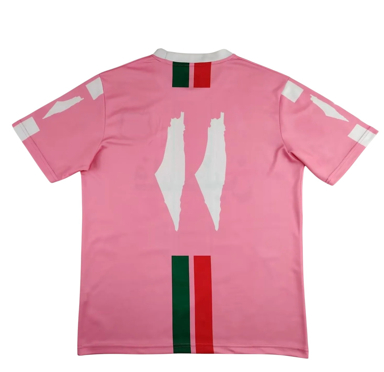Palestine 2024 (version arabe)