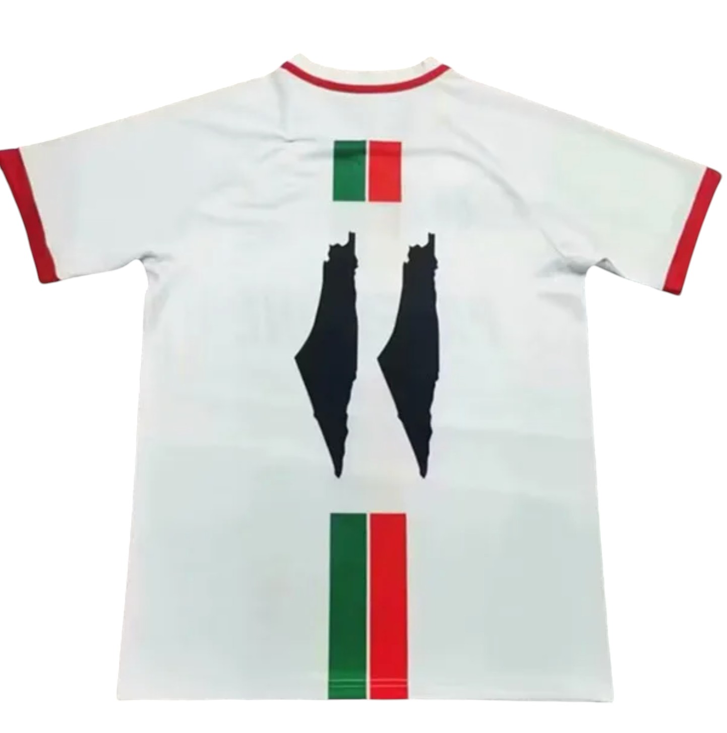 Palestine 2024 (version arabe)