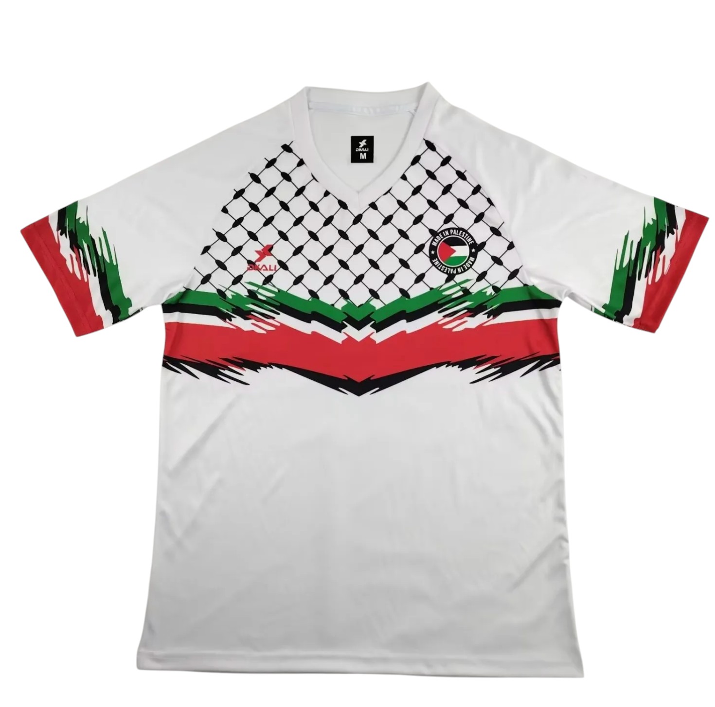 Palestine 2024