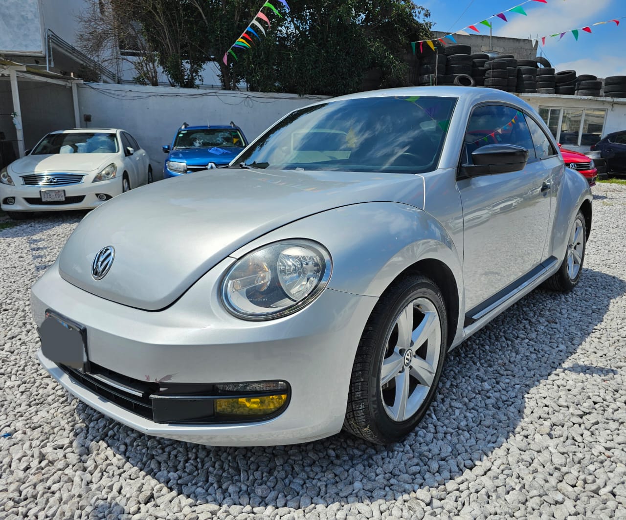 Beetle 2014