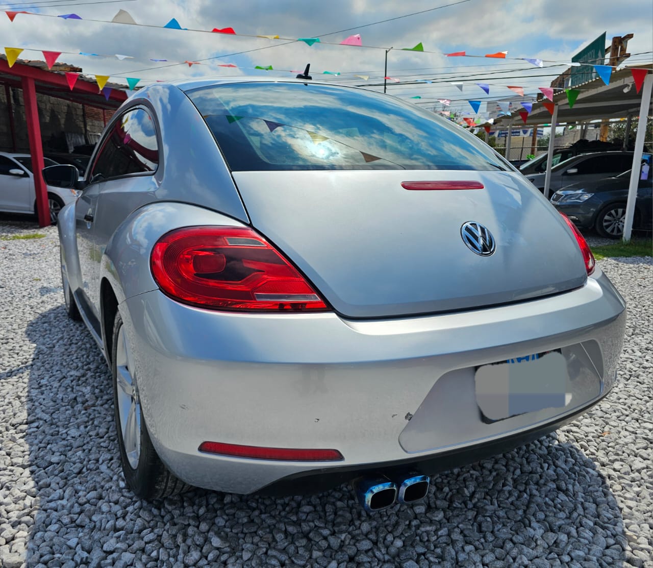 Beetle 2014