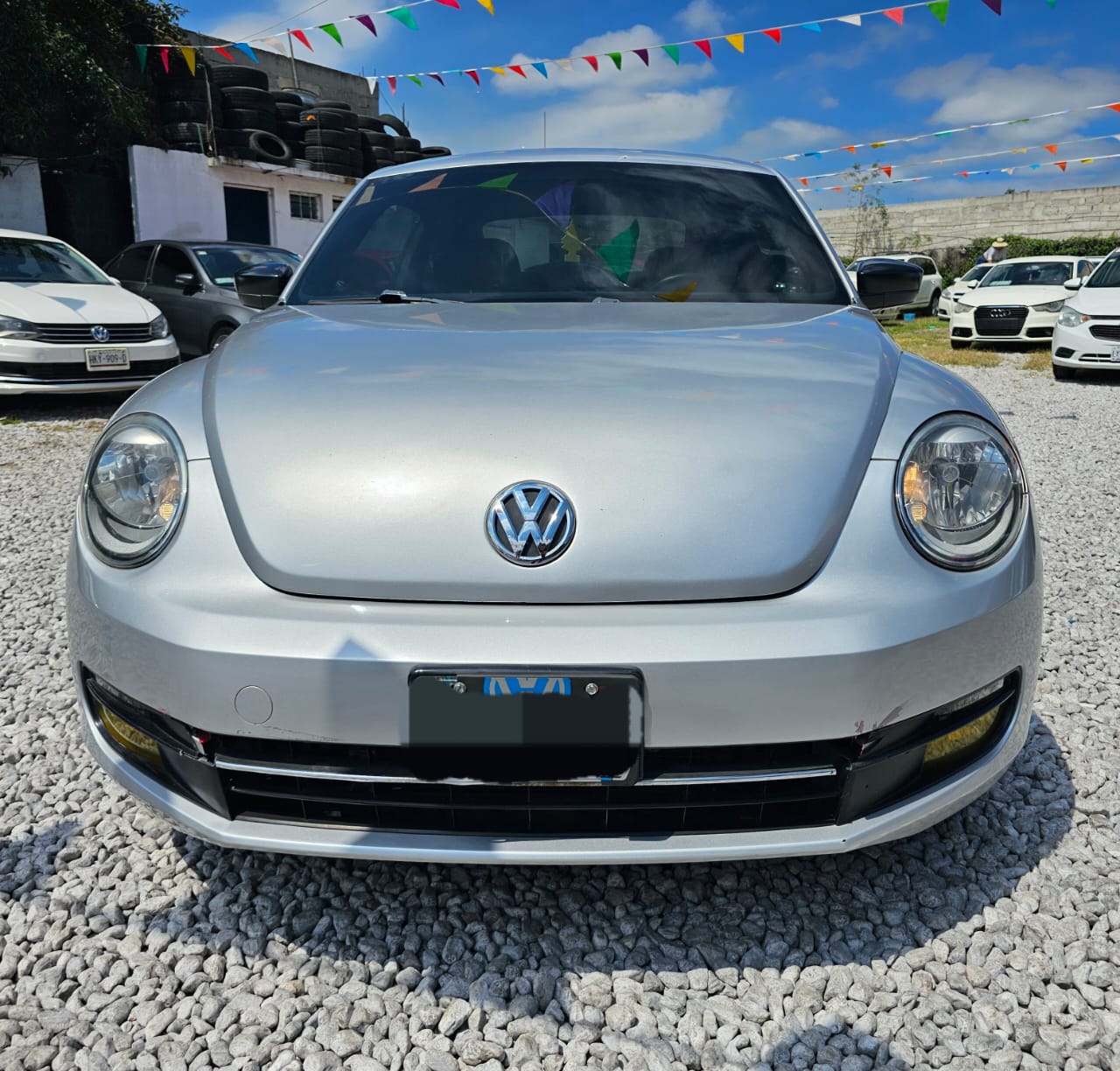 Beetle 2014