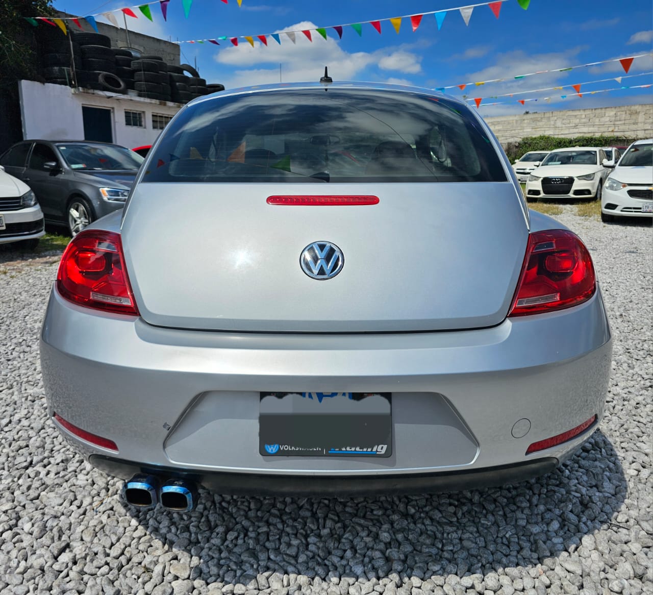 Beetle 2014