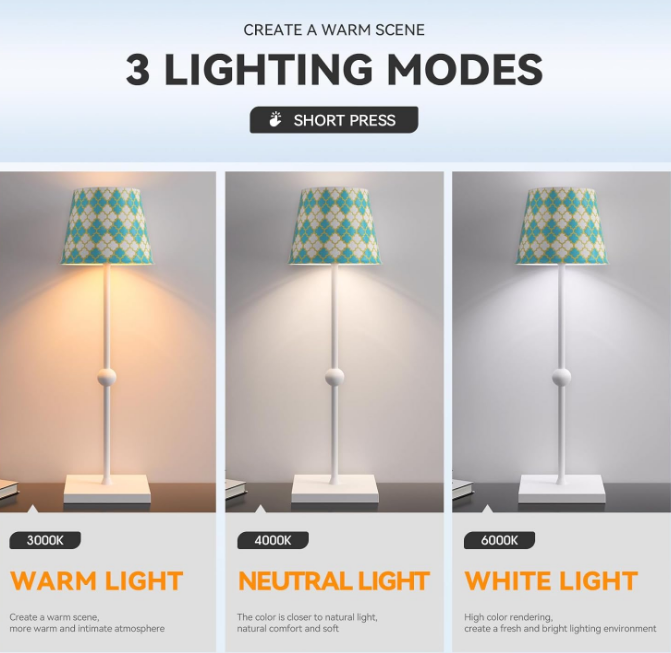 Rechargeable Cordless Table lamp with USB Port, 3 Touch Light Modes Minimalistic Table lamp, for Living Room, Bedroom, Outdoor, Restaurant