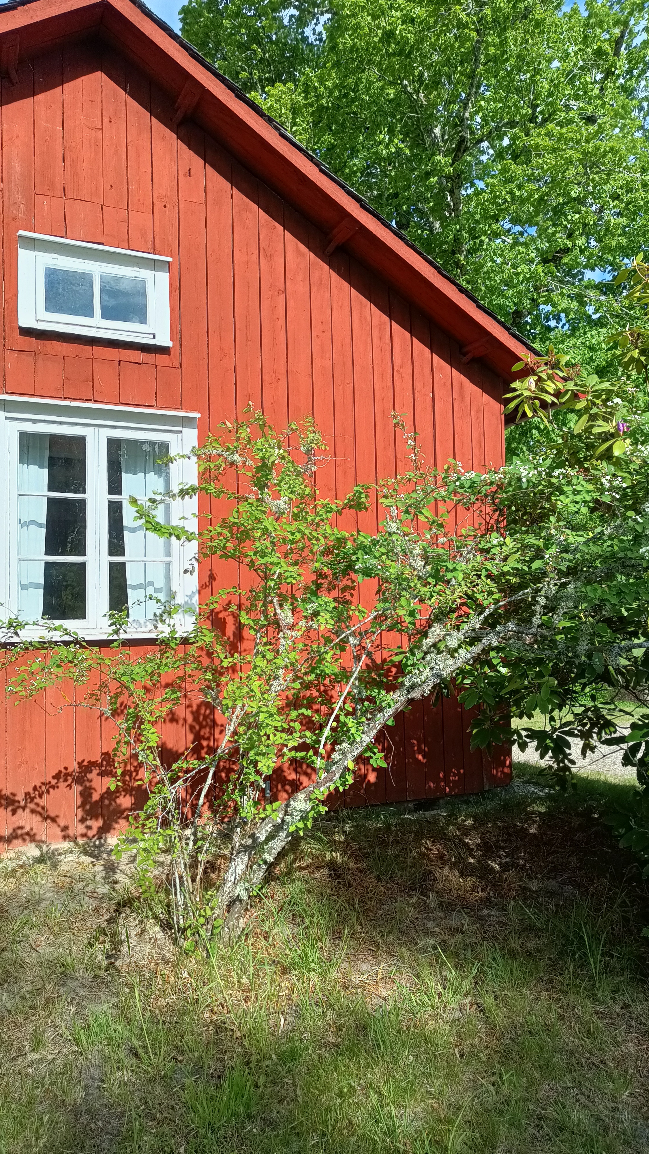 ROUGE CLAIR DE FALUN 10 Litres