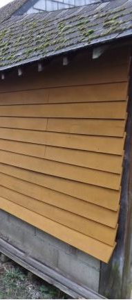 Jaune - Bois - PRO