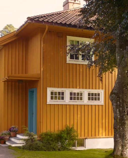 Jaune - Bois - PRO