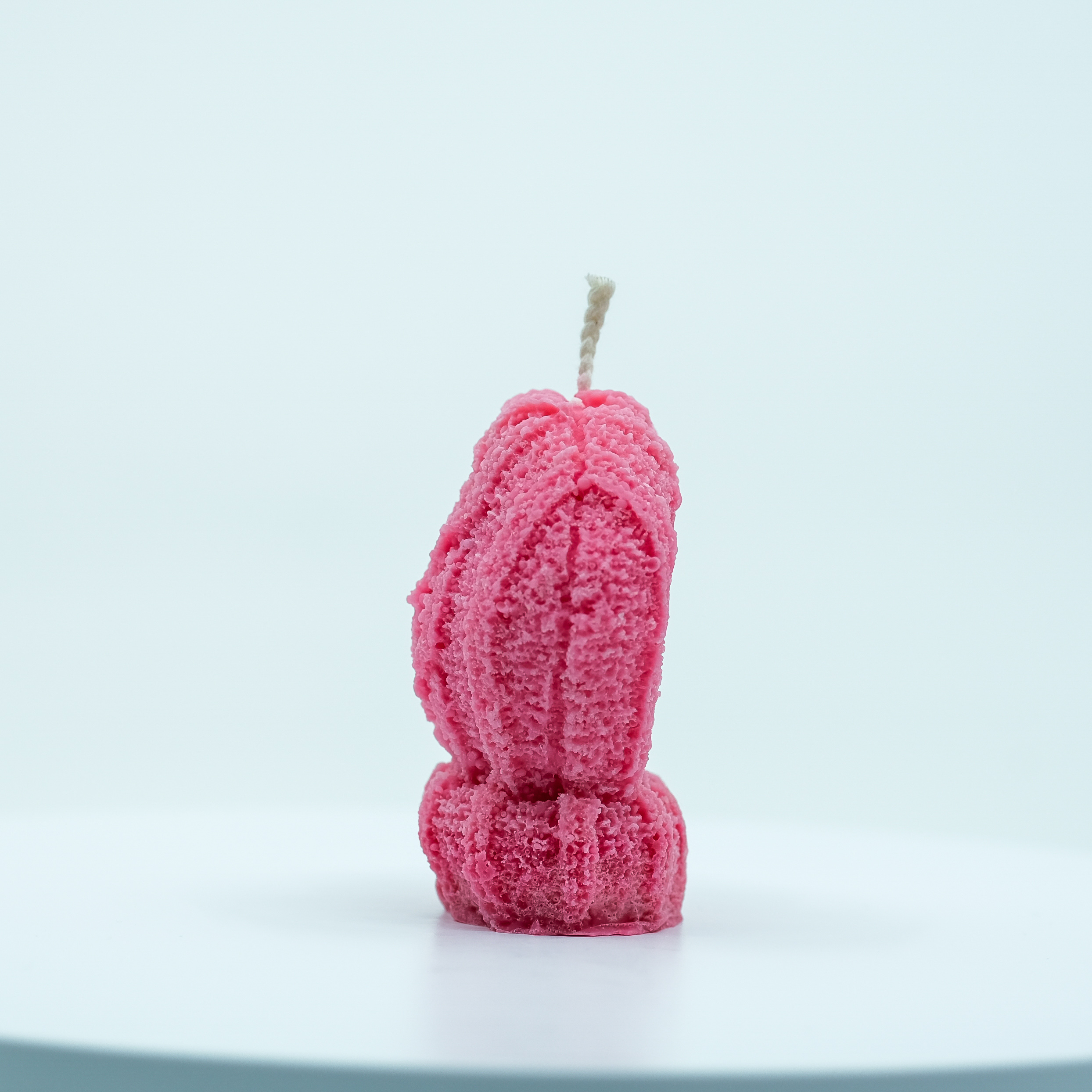 Žvakė - žieminė pirštinė