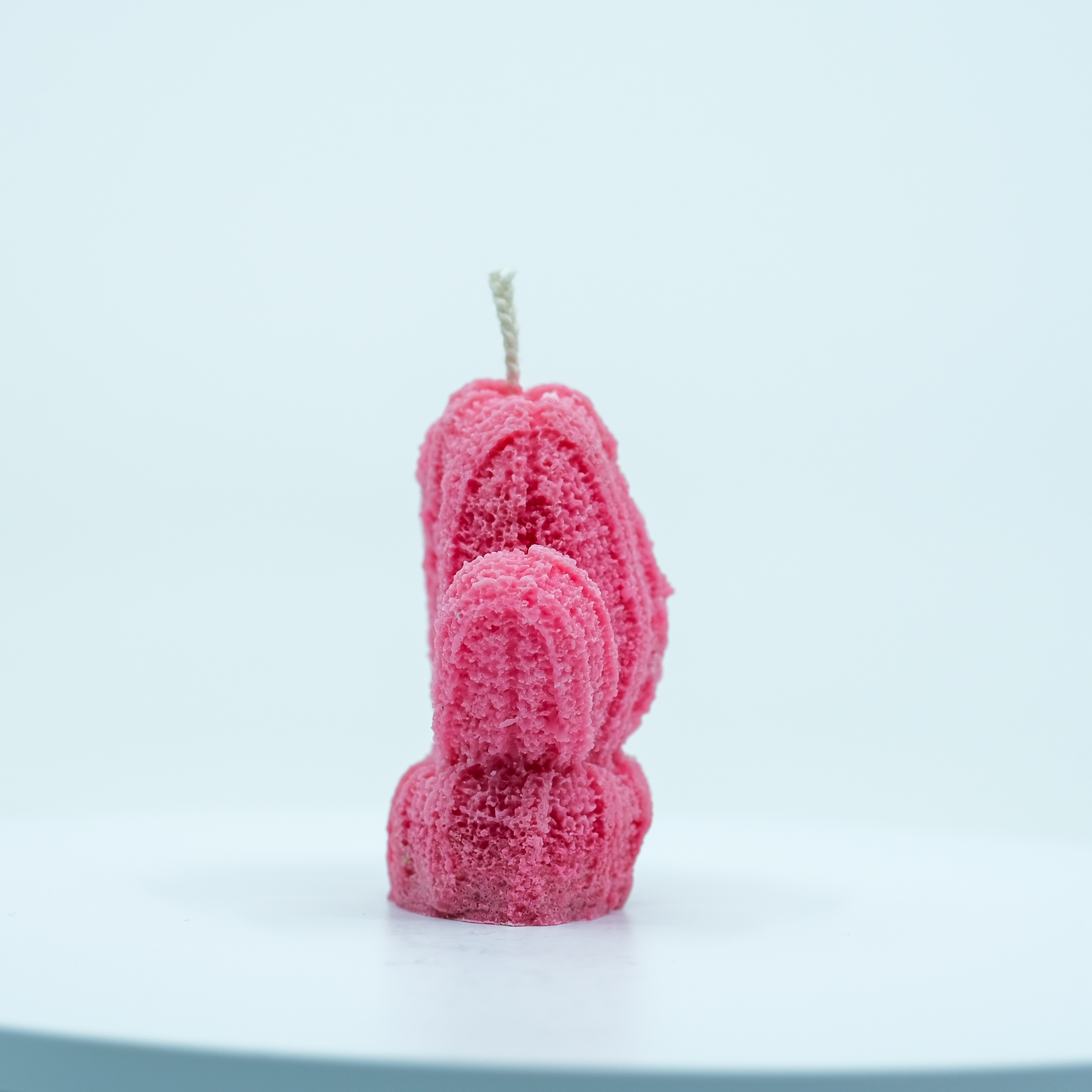 Žvakė - žieminė pirštinė